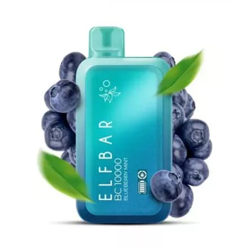 Blueberry Mint 10000 Puffs – Elfbar BC10000
