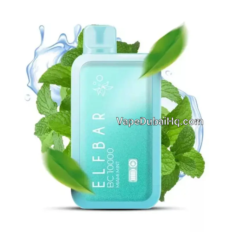 Miami Mint 10000 Puffs – Elfbar BC10000