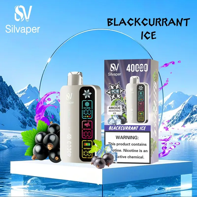 Blackcurrant Ice 40000 Puffs – Silvaper