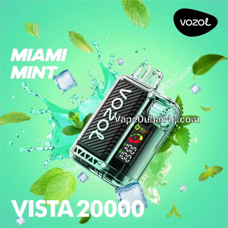 Miami Mint 20000 Puffs – Vozol Vista