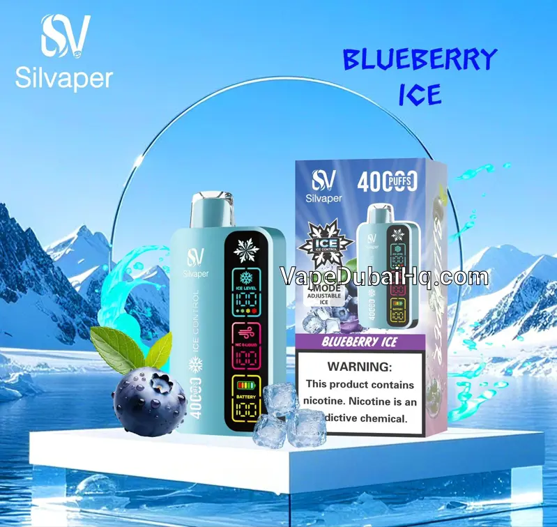 Blueberry Ice 40000 Puffs – Silvaper